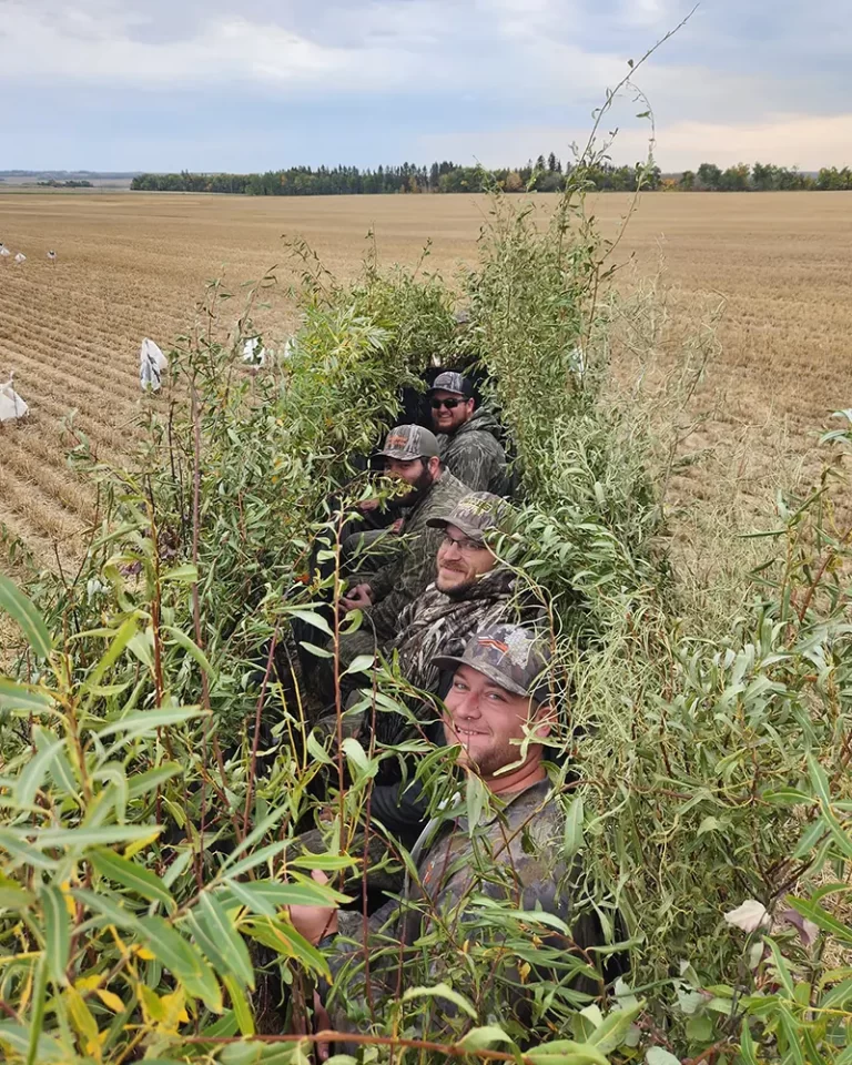 Canada goose bird hunting packages — Big Bend Outfitting – Big Bend Outfitting